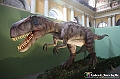 VBS_0969 - Dinosauri. Terra dei giganti